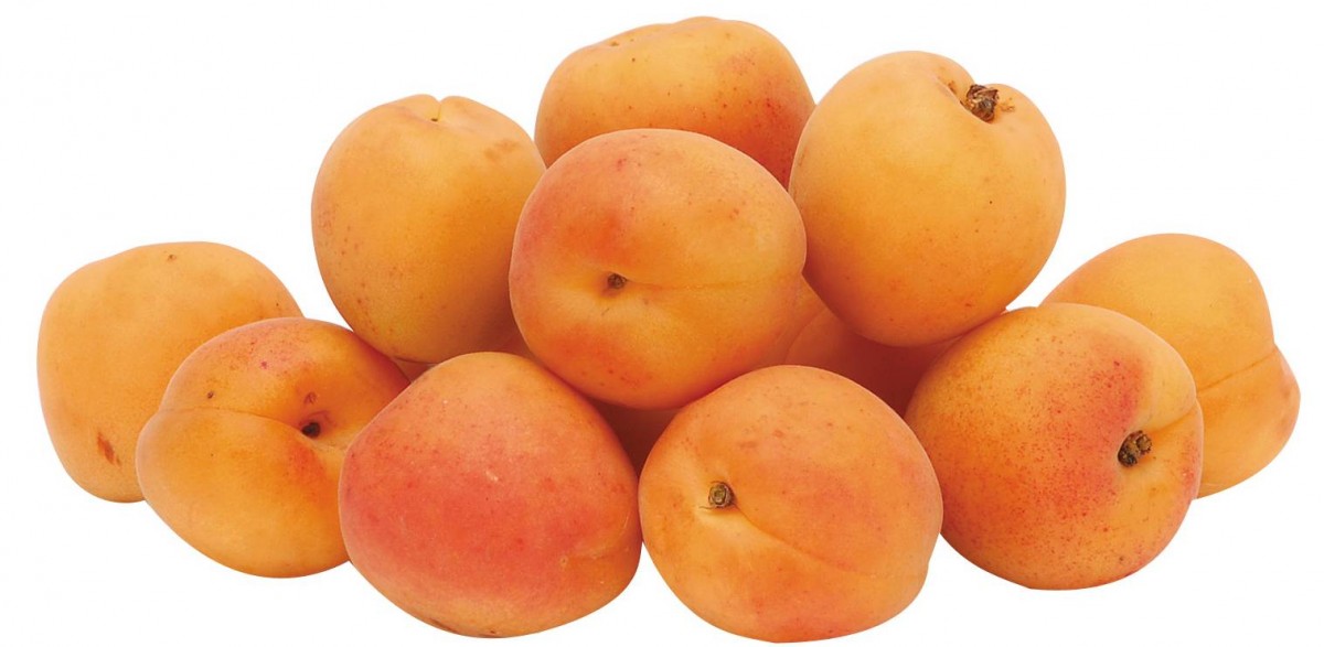 apricots