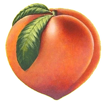 Peach