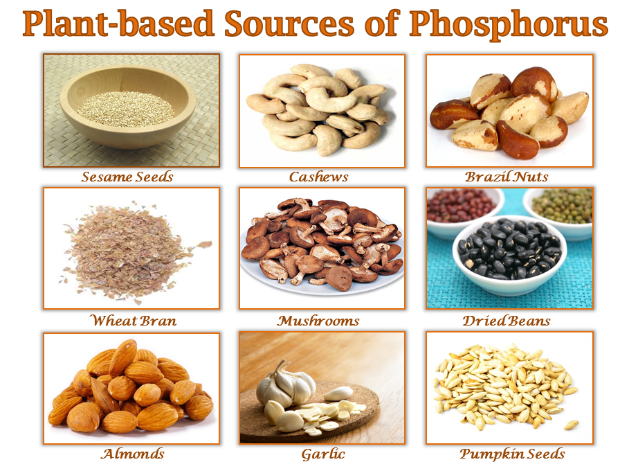 plant-based-sources-of-phosphorus