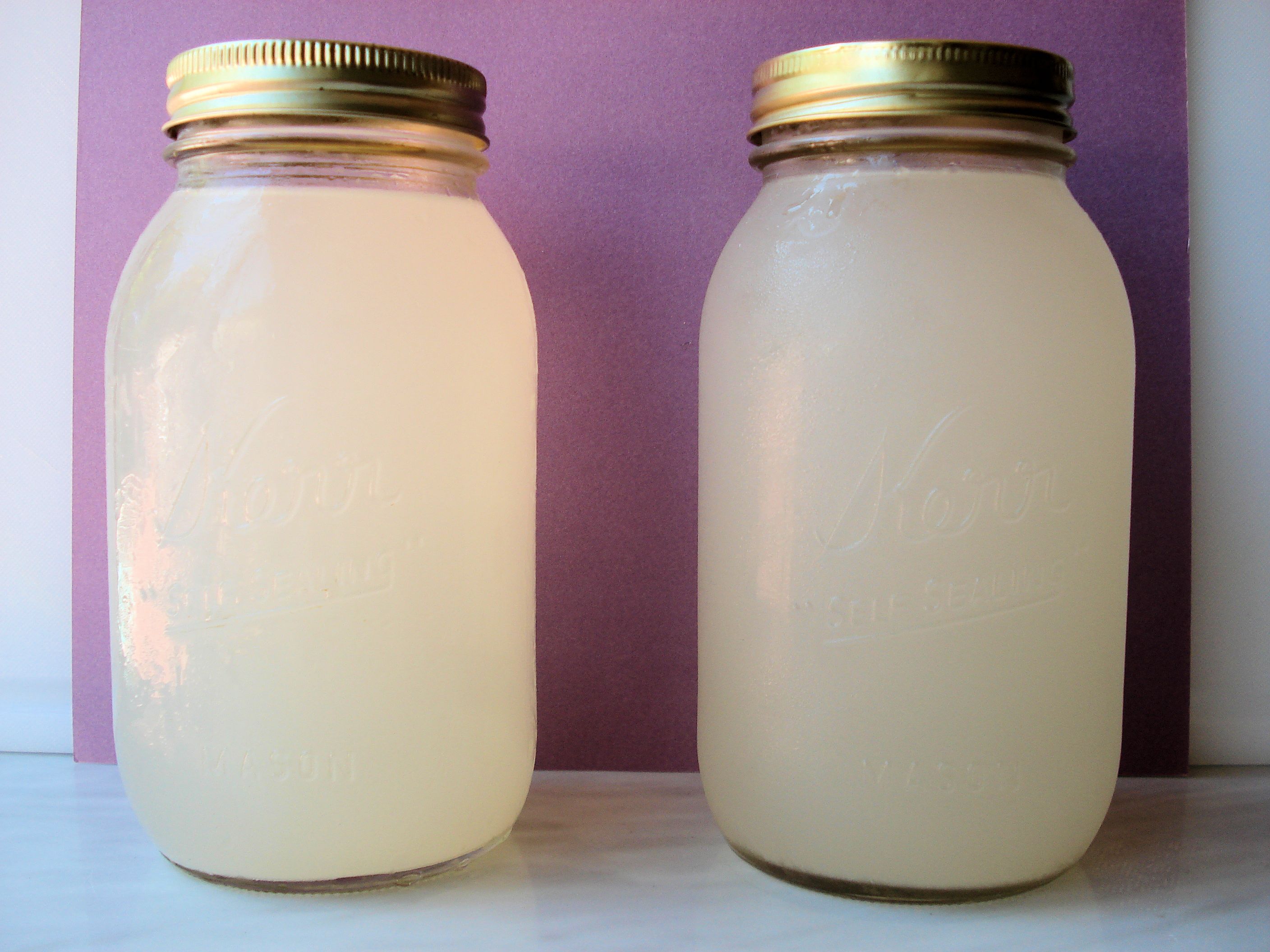 Cinnamon-Coconut-Water-Kefir-029