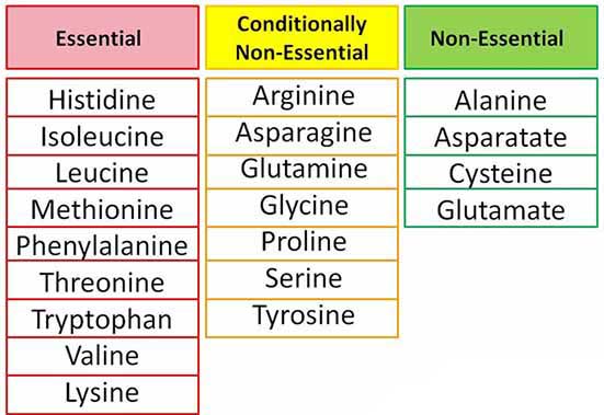 Essential-Amino-Acid-Table