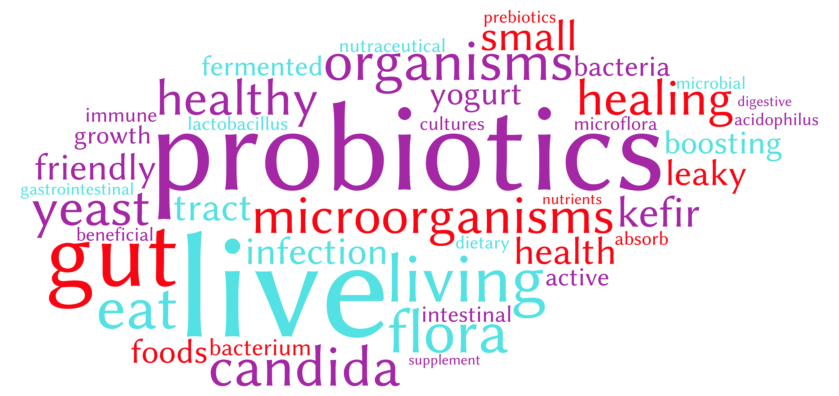 Probiotics word cloud on a white background.