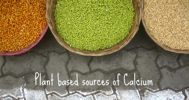 plant-sources-calcium-750x400