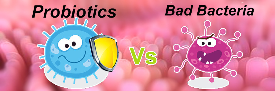 probiotics_vs_bad_bacteria_1024x1024