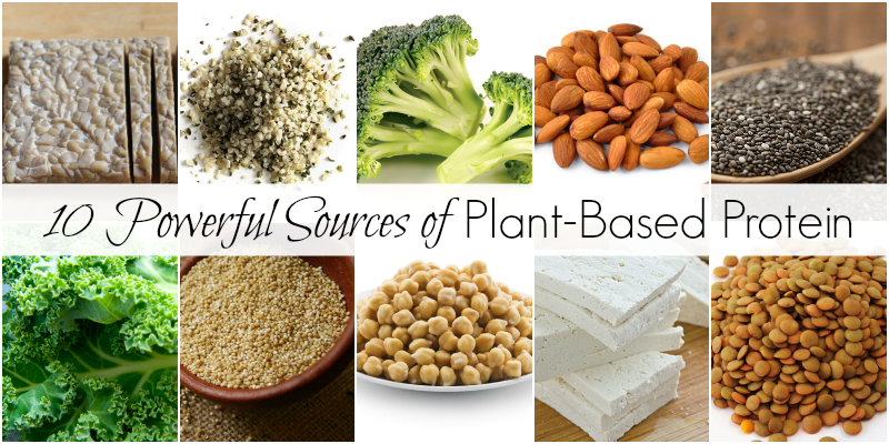 10-Powerful-Sources-of-Plant-Based-Protein