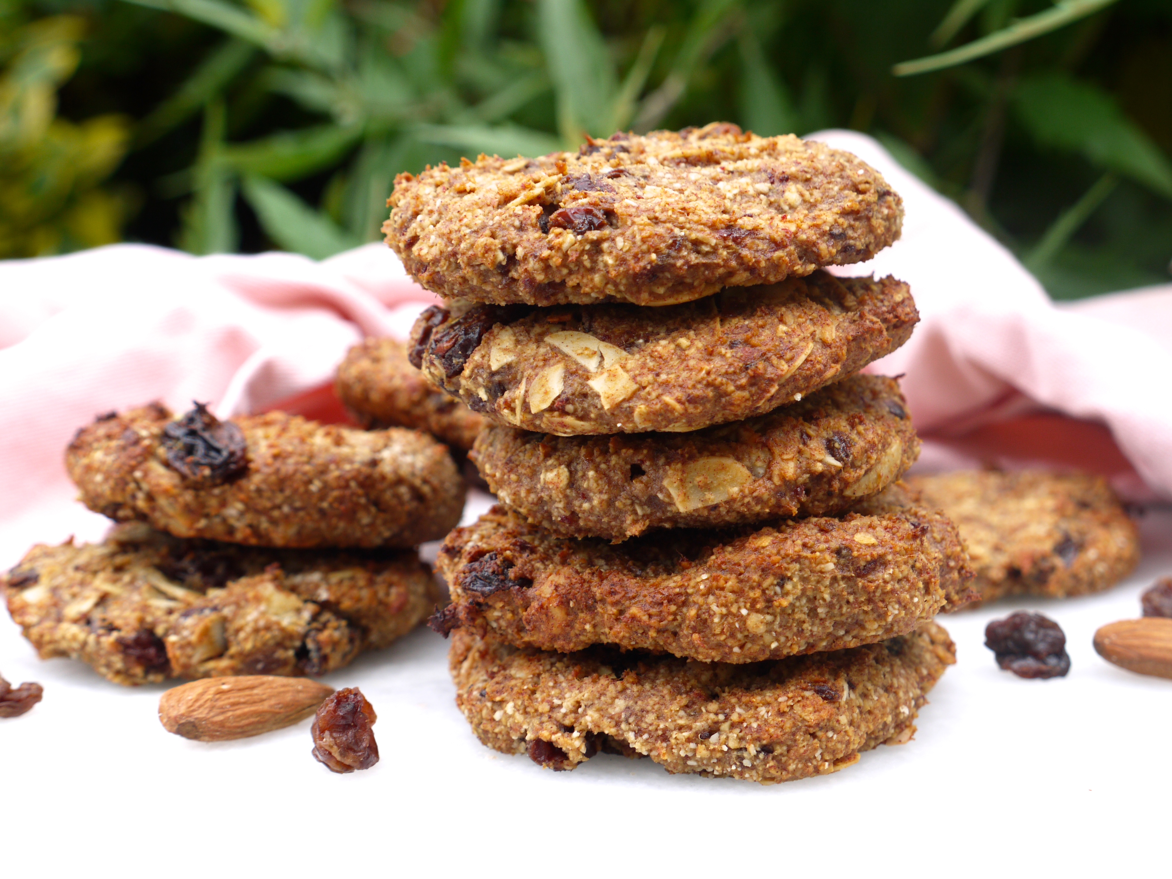 Almond and Raisin Oatmeal Cookies Rosanna Davison Nutrition