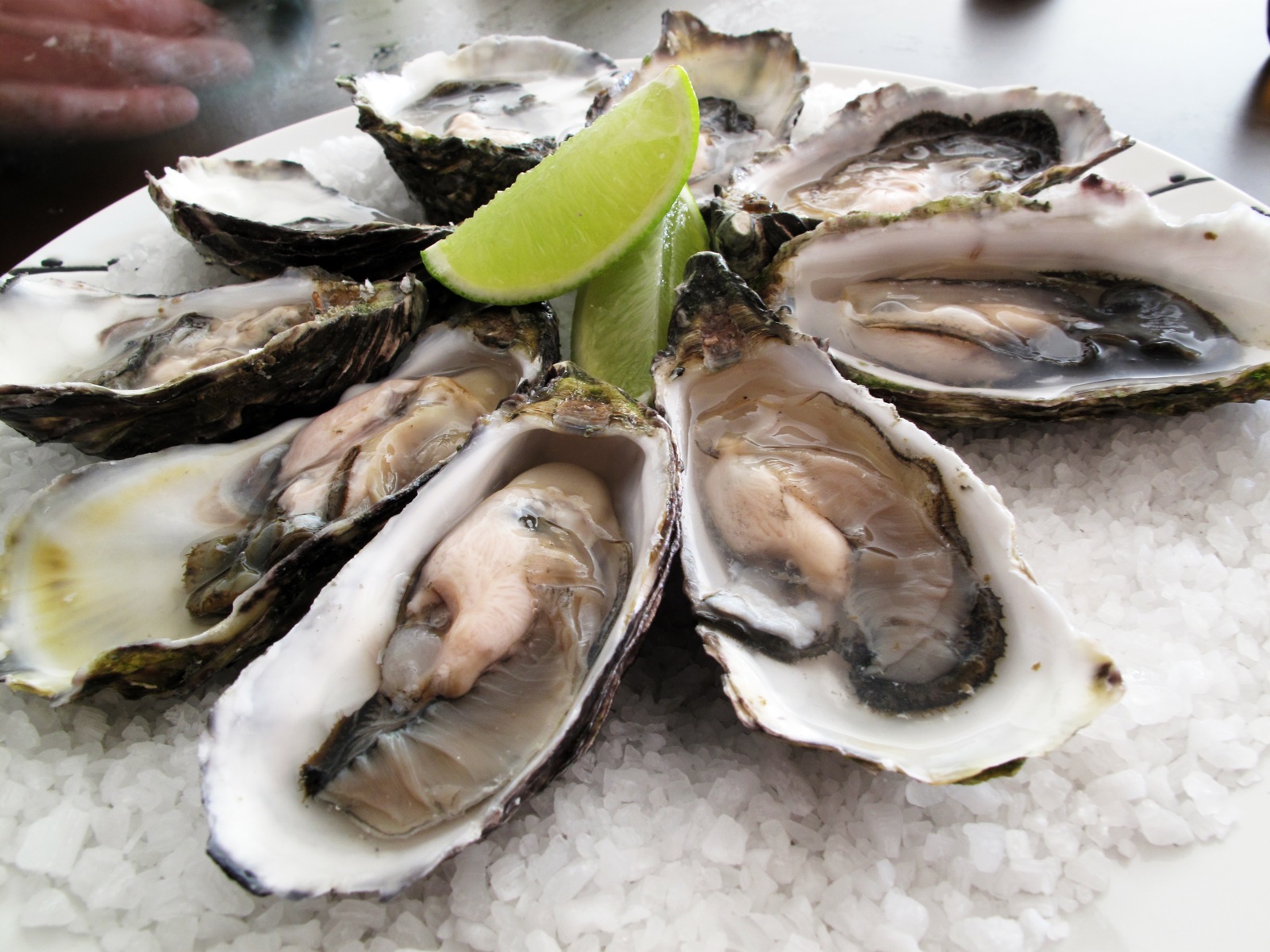 Pacific_oysters