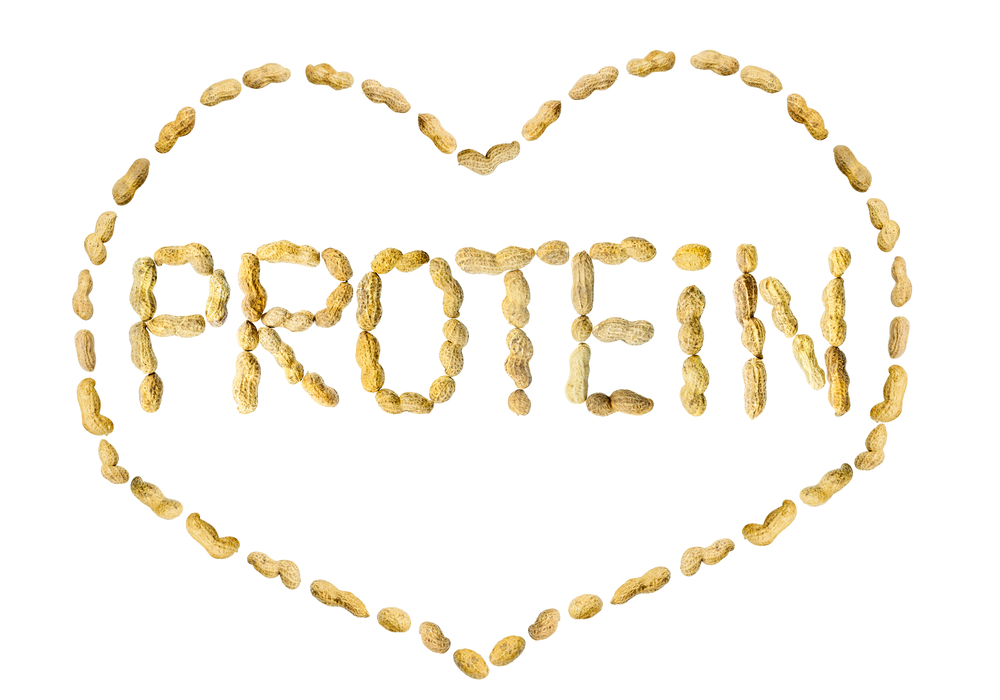 Protein