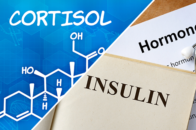 cortisol-insulin-featured-image