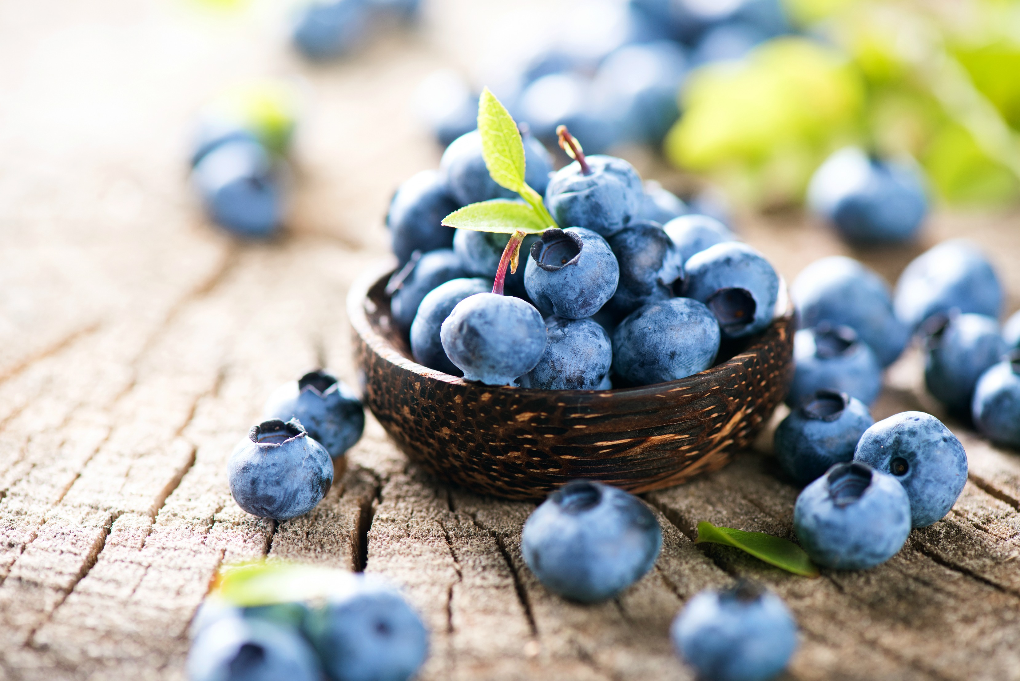 Freshly picked blueberries in wooden bowl. Juicy and fresh blueberries with green leaves on rustic table. Bilberry on wooden Background. Blueberry antioxidant. Concept for healthy eating and nutrition