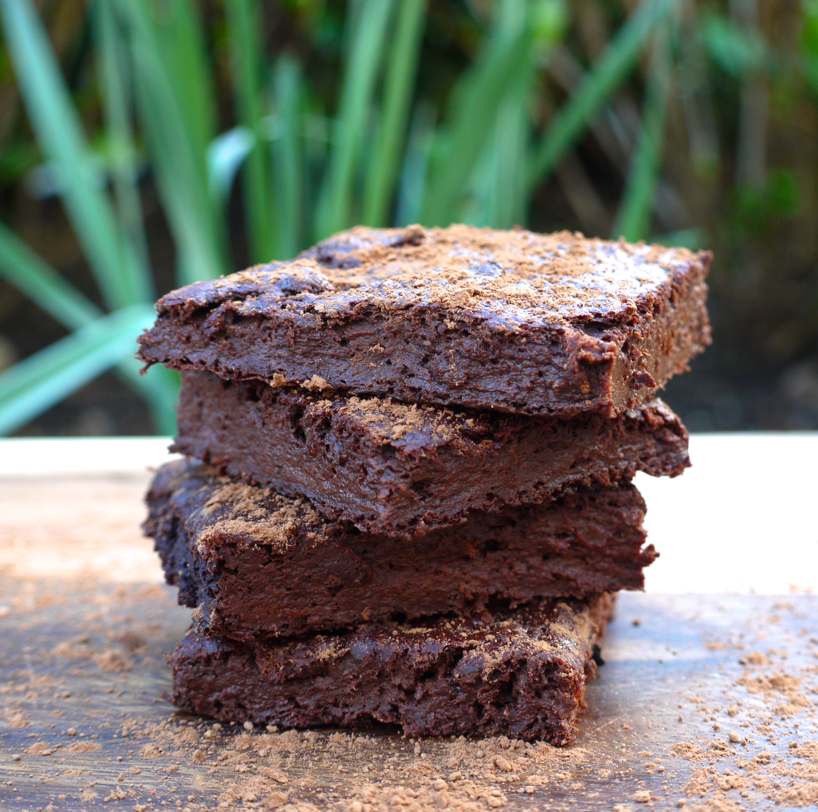 Fitness Fudge Brownies Rosanna Davison Nutrition