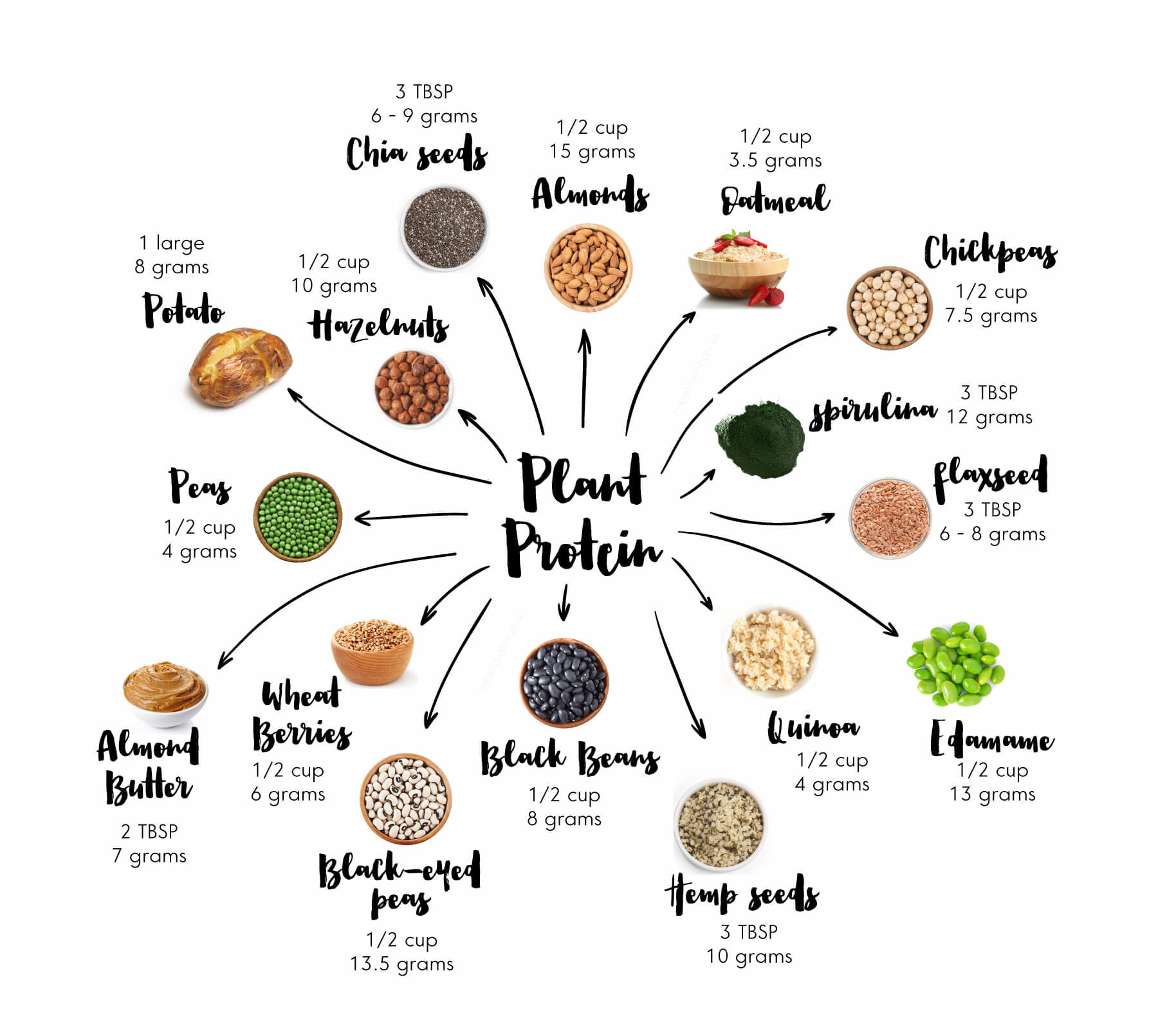 Top-Sources-of-Plant-Based-Protein