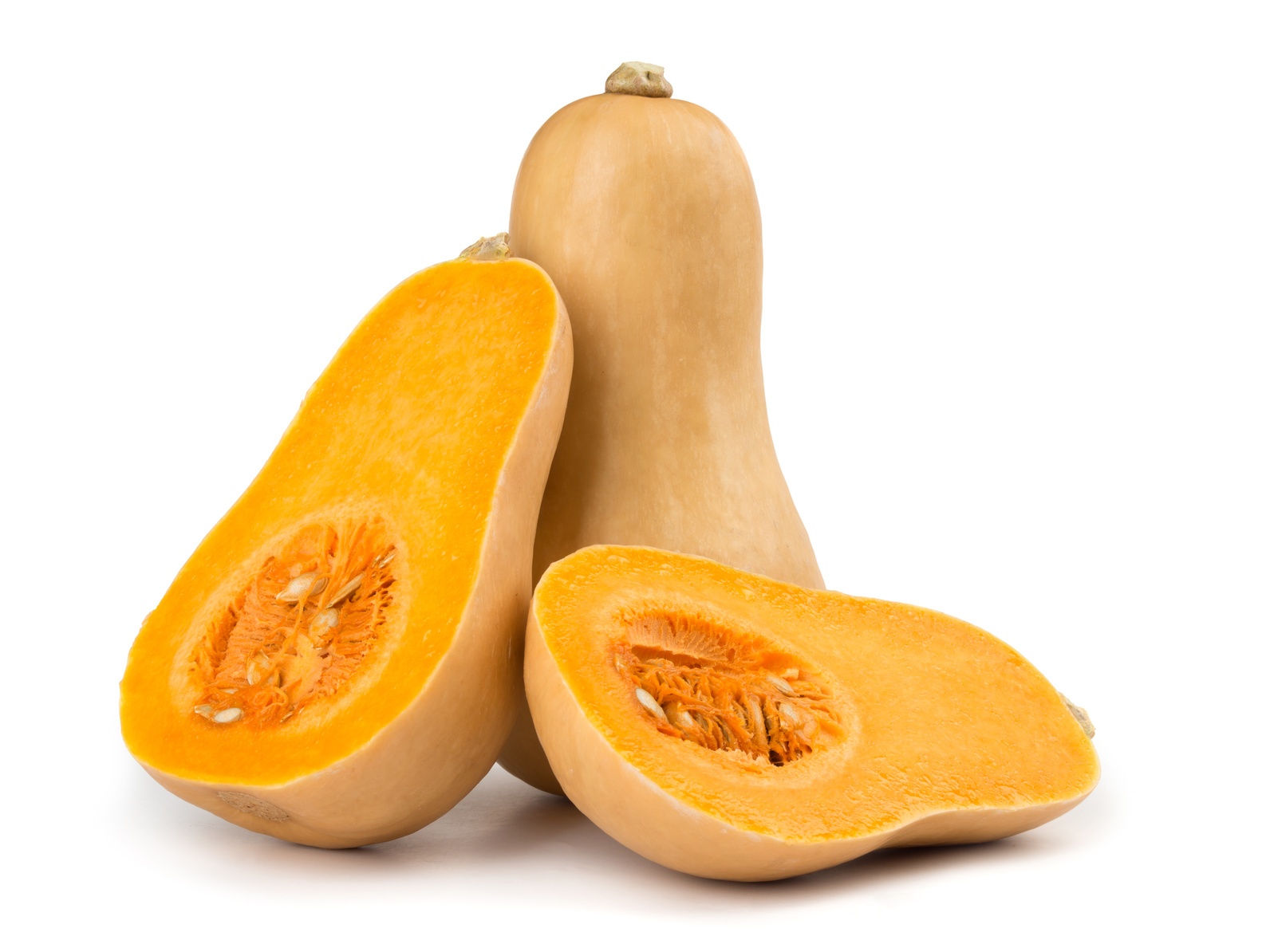 Butternut squash isolated on white background