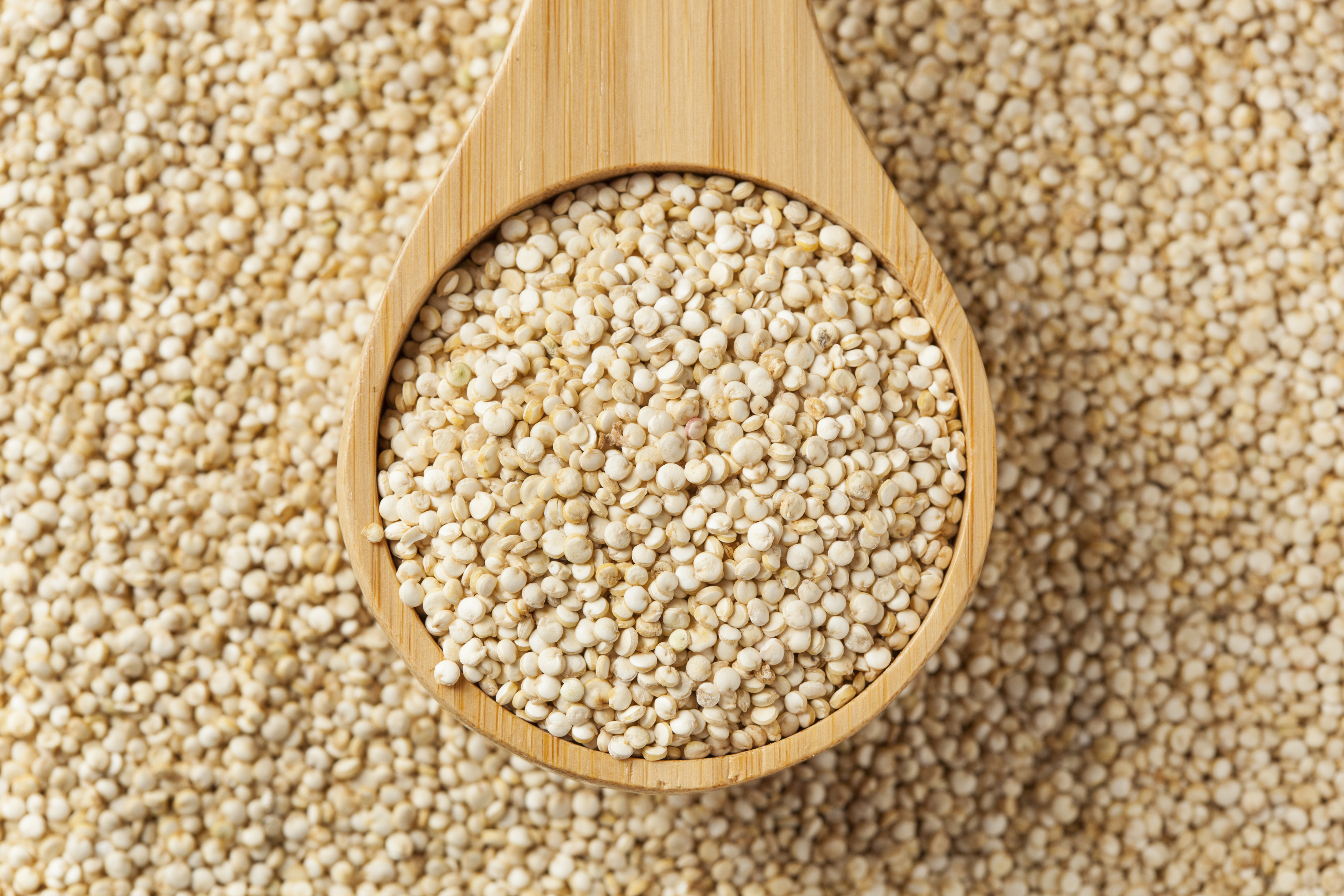 Raw Organic Quinoa Seeds