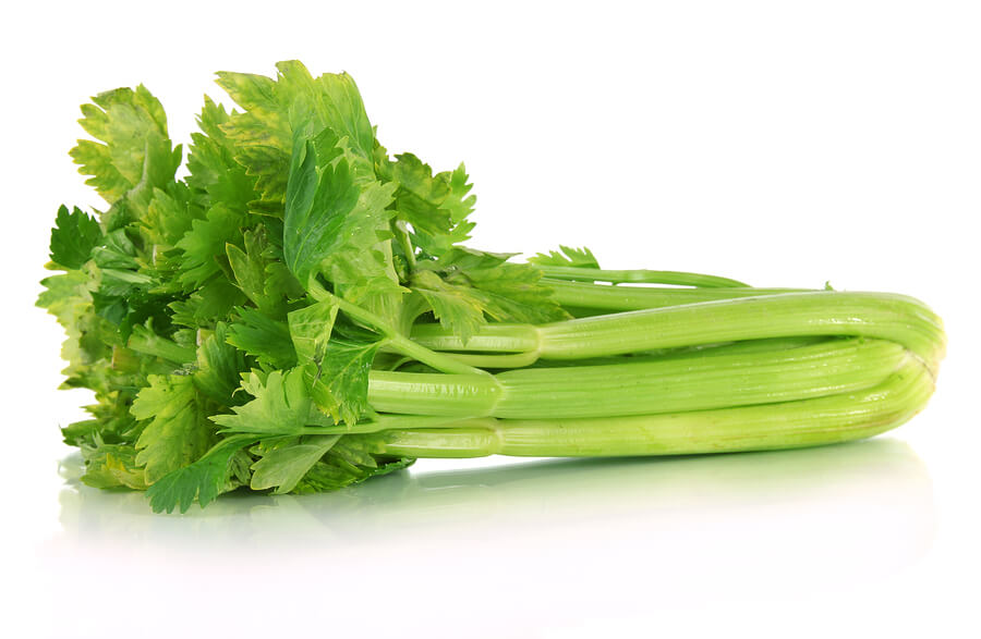 bigstock-Fresh-green-celery-isolated-on-52080031