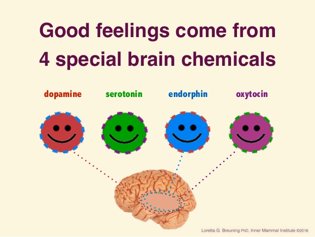 happy-brain-chemicals-dopamine-serotonin-oxytocin-and-endorphin-2-638