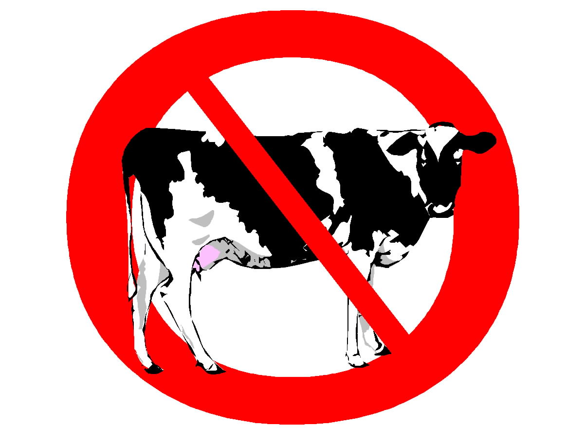 no-dairy