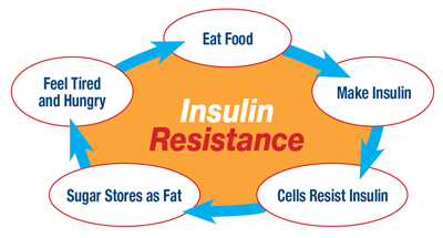 insulinresistance