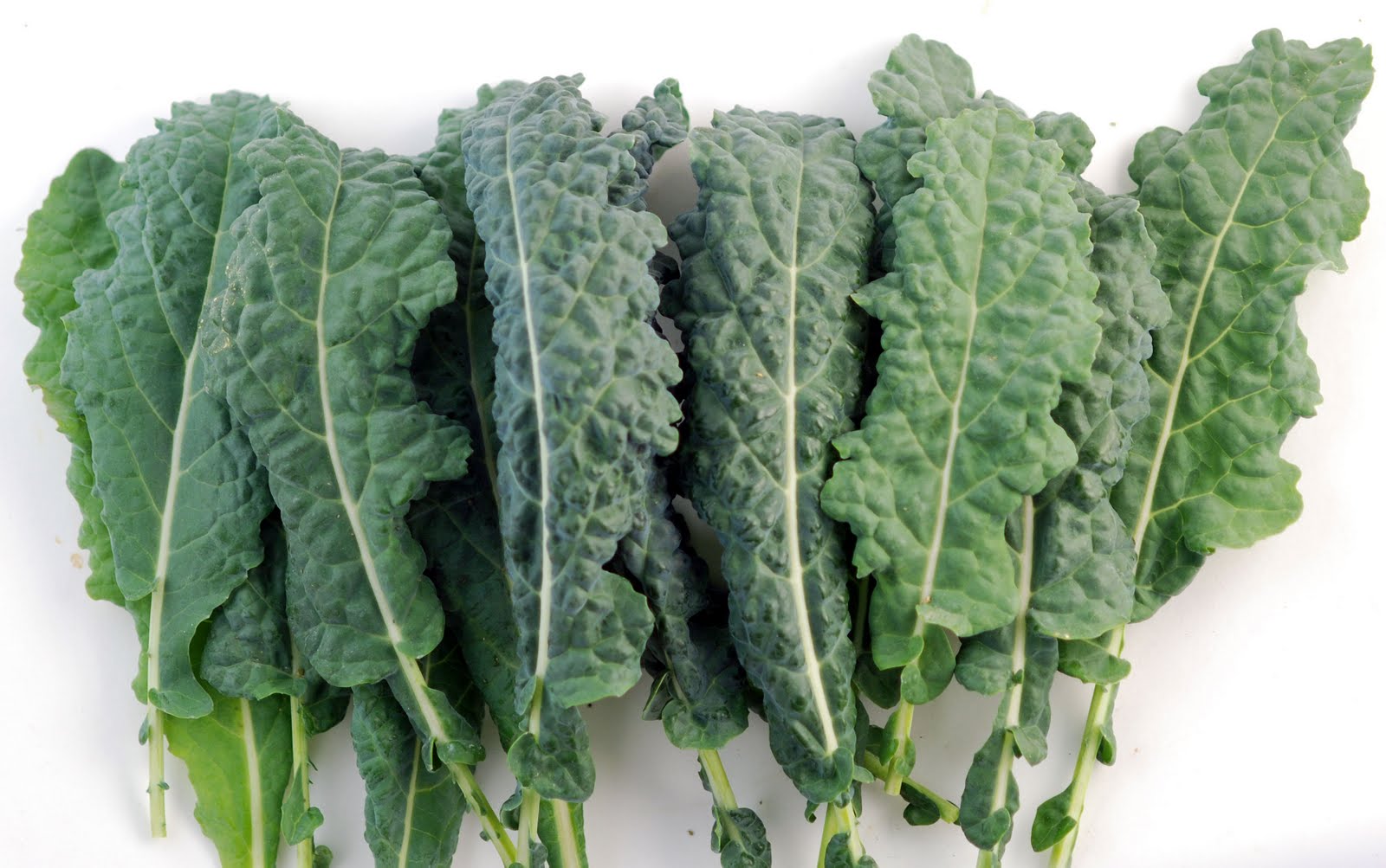 kale-1