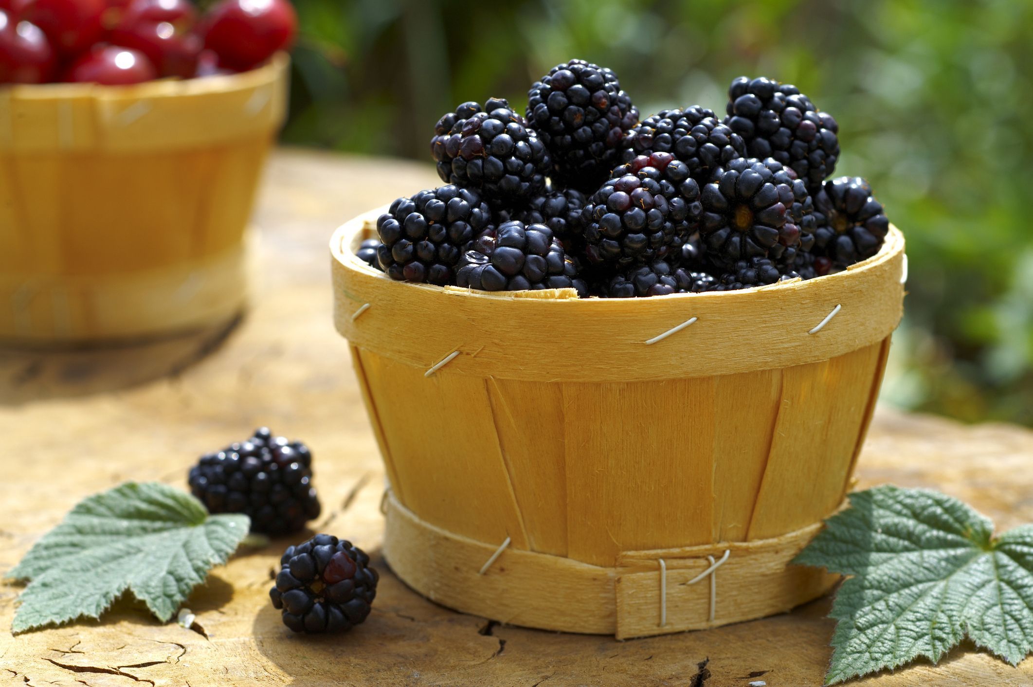 Blackberries-in-a-Basket-579115183df78c17345e90ca