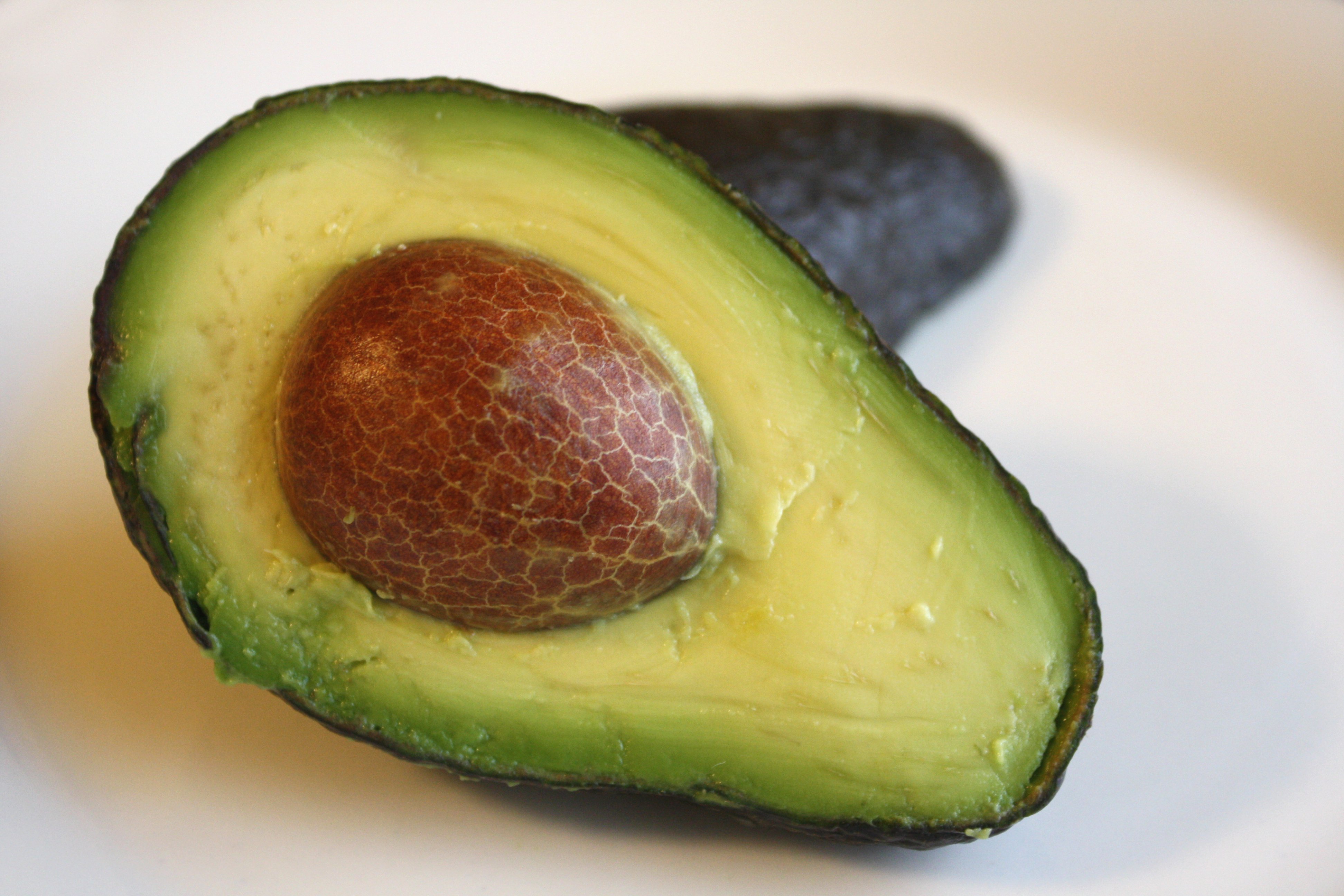 avocado-half