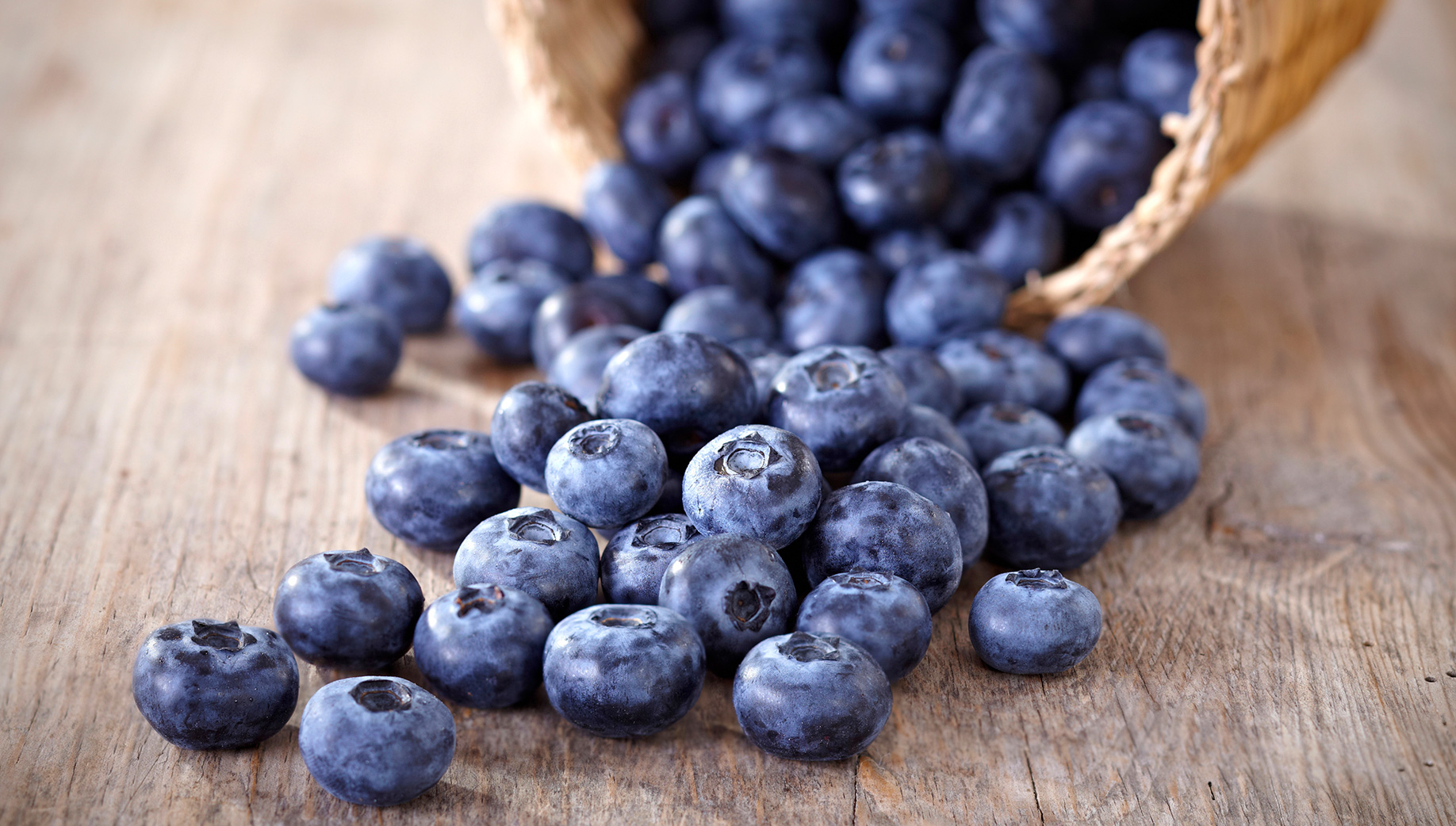Basket-of-blueberries
