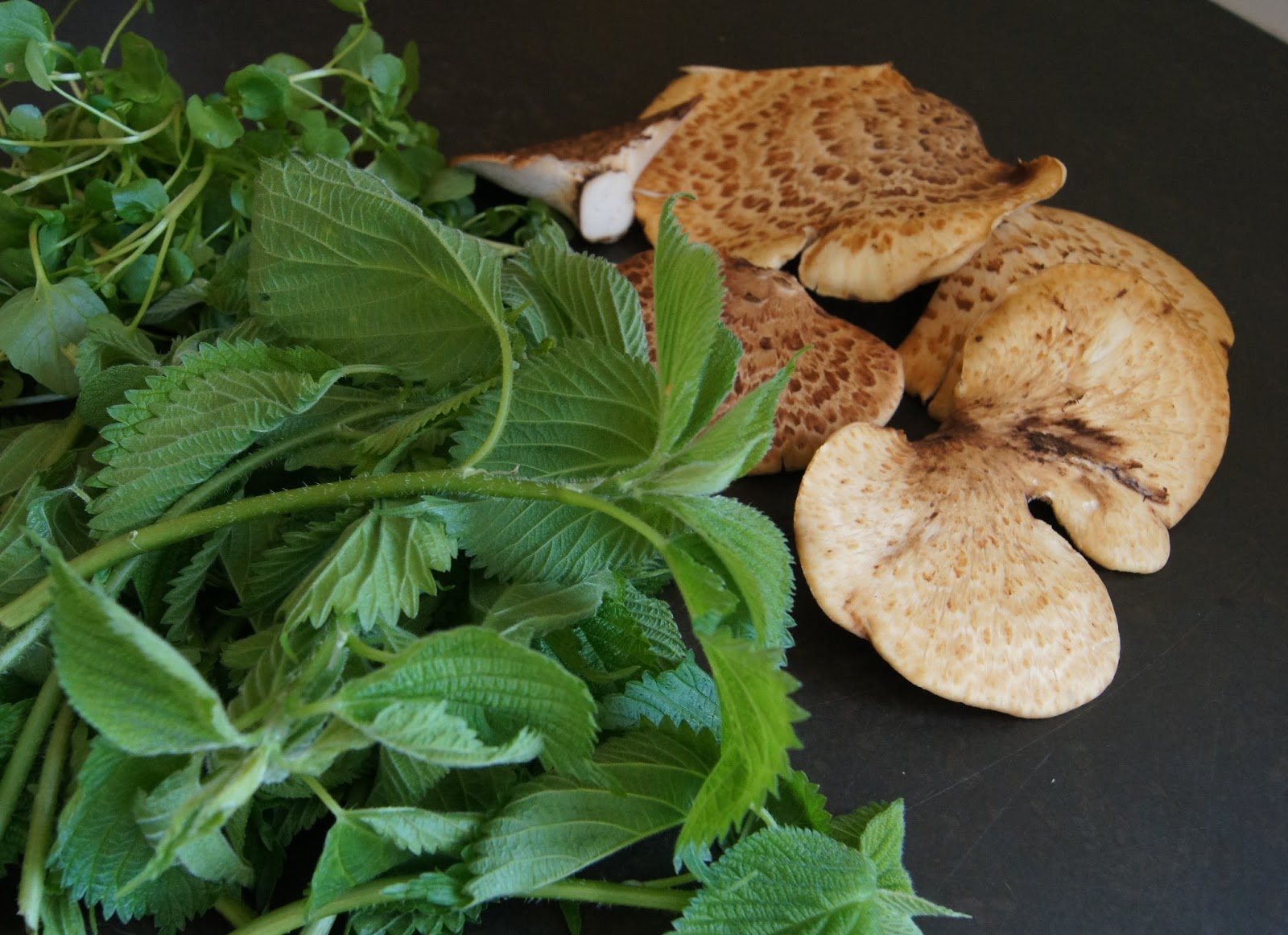 nettles and shrooms